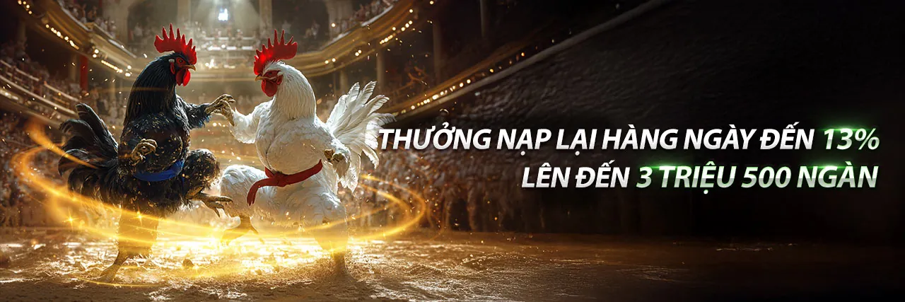 Các loại trò chơi và quy tắc tại topzo vin